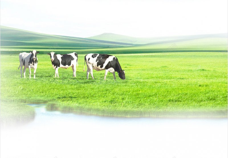 牧场背景食品元素jpg设计背景_新图网 https://ixintu.com 牧场背景 食品元素