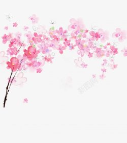 水彩粉色花朵插画素材