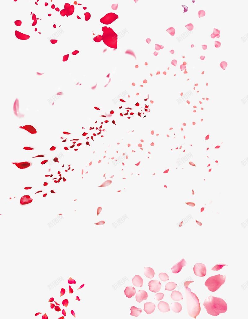 漂浮的粉色花瓣图片png免抠素材_新图网 https://ixintu.com  创意  卡通 花瓣 卡通插图  漂浮花瓣 粉色花瓣  插图 花瓣 桃花瓣  樱花瓣