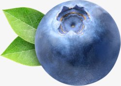 蓝莓水果蔬菜素材
