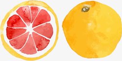 手绘新鲜水果红柚切面卡通装饰素材