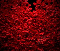 留下你宝贵的意见红玫瑰花瓣背景红色是你留下的唇印高清图片