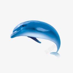 海豚背景漂浮物素材