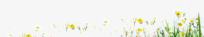 花透明是的小情人png免抠素材_新图网 https://ixintu.com 花 透明是设计的小情人
