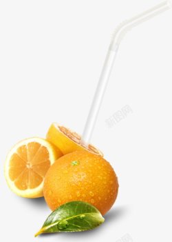 橙子橘子黄金鲜果美味多汁插图素材