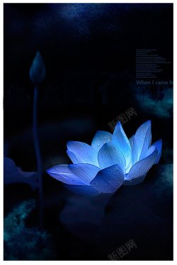 无背景透明元素合成扁平漂浮物几何素材