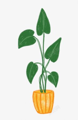 手绘彩铅室内植物可爱插画HOUSEPLANTSPa素材