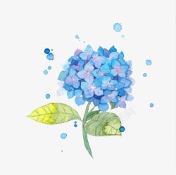 蓝色花朵手绘植物鲜花素材