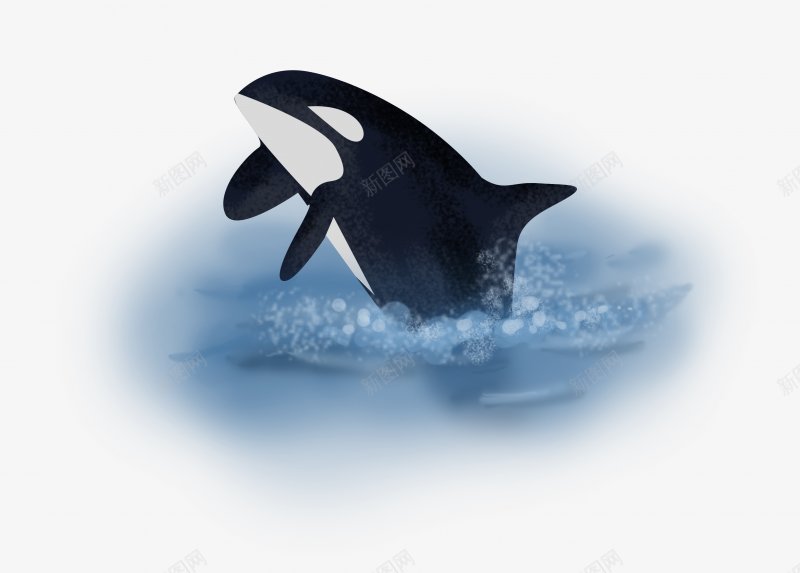 手绘鲸鱼PNS透明底png免抠素材_新图网 https://ixintu.com PNS透明底 手绘 鲸鱼