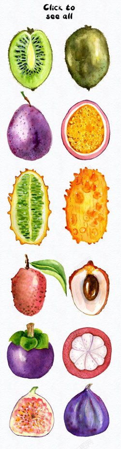 食物水果火龙果木瓜手绘水彩水彩包装餐饮免扣设计3矢素材