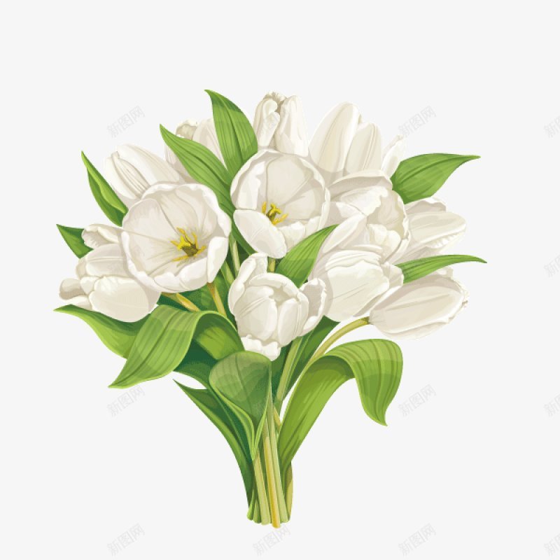手绘白色花朵PNS透明底png免抠素材_新图网 https://ixintu.com PNS透明底 手绘白色花朵