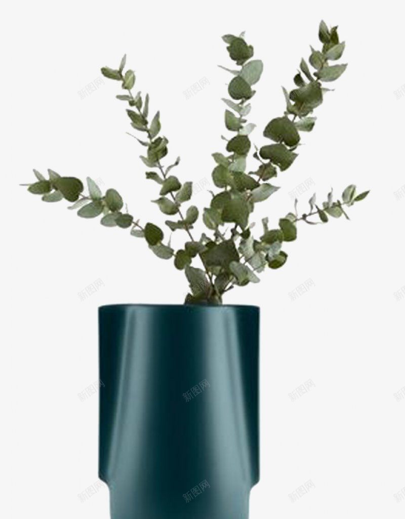 摆花艺植物png免抠素材_新图网 https://ixintu.com 摆花艺植物