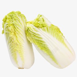 大白菜蔬菜素材