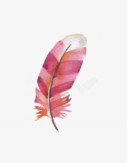 手绘水彩粉红白色花羽毛图片素材