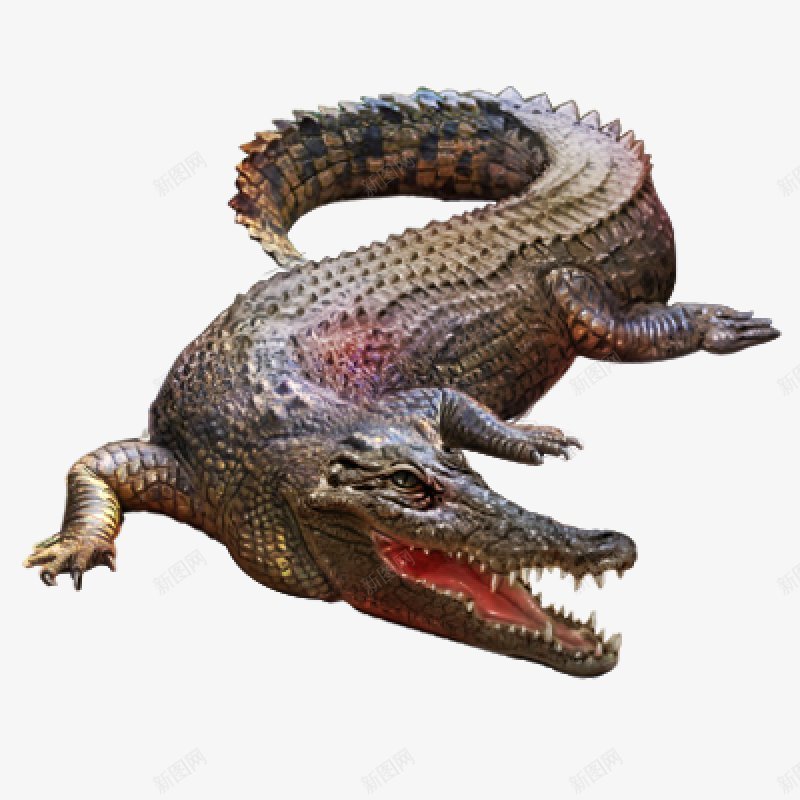 透明背景鳄鱼ABC输入法动物格式图透明图图标png_新图网 https://ixintu.com 动物格式图 透明图