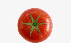 西红柿食材素材