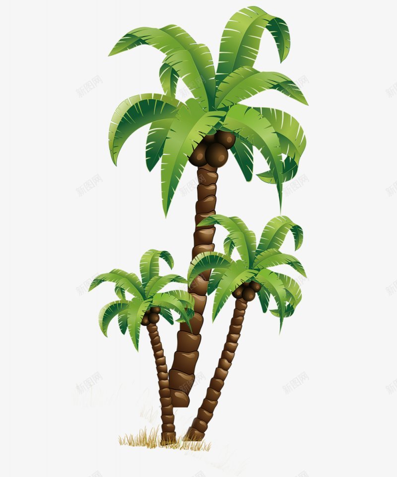 手绘椰子树png免抠素材_新图网 https://ixintu.com 手绘 椰子树 树叶 椰子 棕色 椰子叶 绿色 绿植 元素