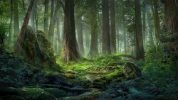 发光森林大绿森林梦幻森林树林淘宝海报背景童话森林背景绿森林高清图片