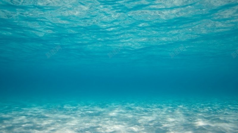 海底海底背景背景背景图底图背景底图海洋海底蓝色海底背景图片免费下载 素材0yqvwwjwg 新图网 海底海底背景背景背景图底图背景底图海洋海底蓝色海底背景图片免费下载 素材0yqvwwjwg 新图网