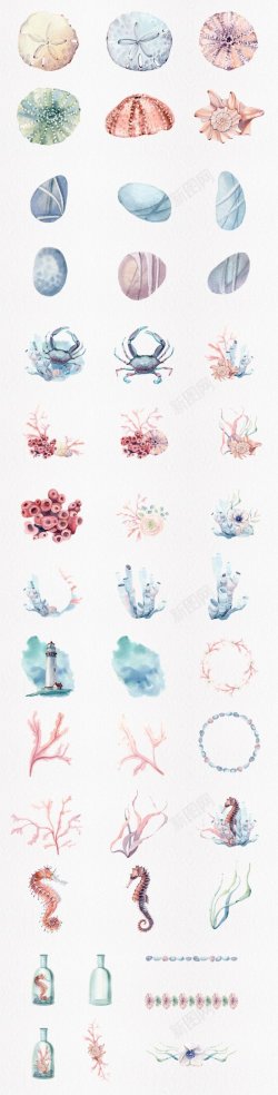 马草绳子手绘水彩海洋风珊瑚贝壳螃蟹高清图片