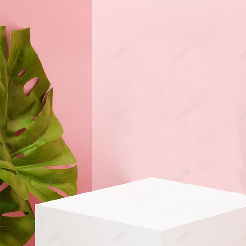 约植物粉色服装主图空间感jpg设计背景_新图网 https://ixintu.com 空间感 约植物粉色服装主图