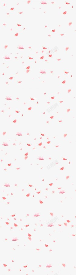 漂浮红色花瓣花朵素材