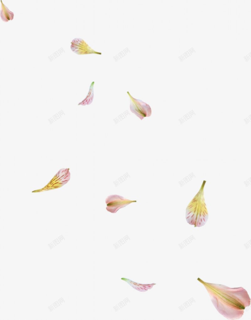 矢量漂浮花瓣春天png免抠素材_新图网 https://ixintu.com 唯美 早春 春天 春季 樱花 漂浮 矢量 纹理 花瓣 飞舞