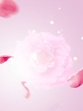 化妆品香水粉色海报粉色背景