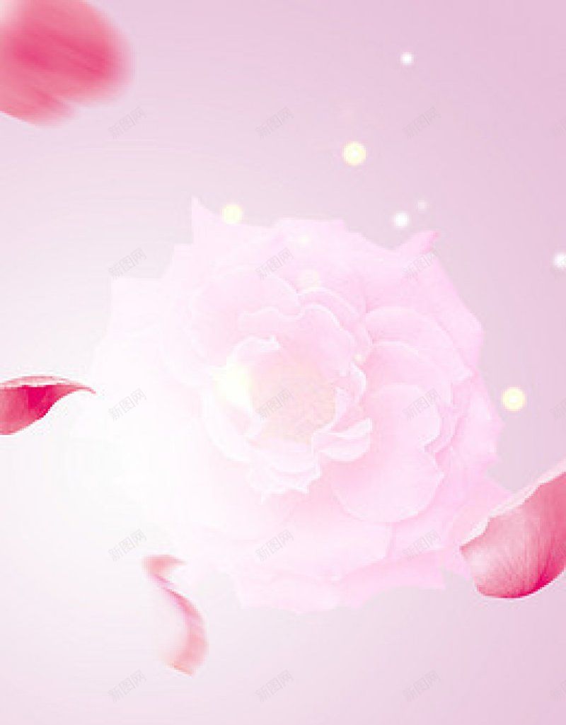 化妆品香水粉色海报粉色jpg设计背景_新图网 https://ixintu.com 化妆品香水粉色海报 粉色