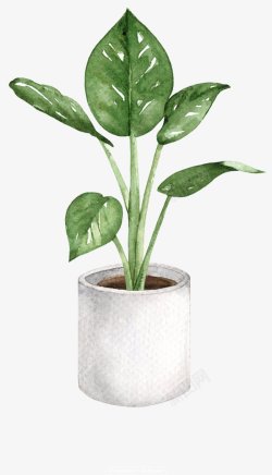植物15素材