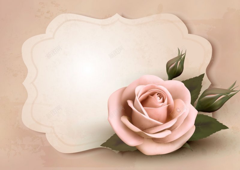 粉色玫瑰花和标签矢量scjpg设计背景_新图网 https://ixintu.com sc 粉色玫瑰花和标签矢量