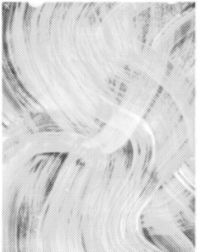 黑白圆点质感矢量中国16网材质jpg设计背景_新图网 https://ixintu.com 中国16网 材质 黑白圆点质感矢量