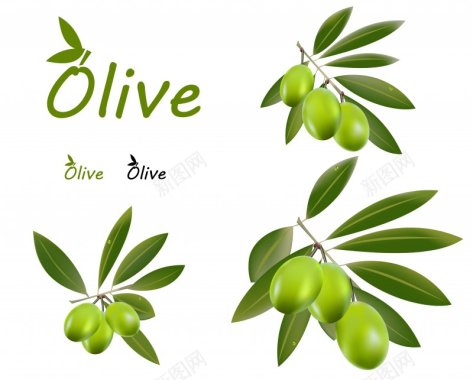 橄榄油自然橄榄油自然绿色绿色自然背景