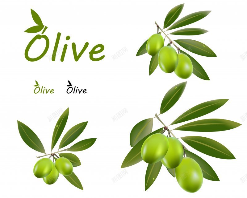 橄榄油自然橄榄油自然绿色绿色自然jpg设计背景_新图网 https://ixintu.com 橄榄油 素材 绿色 自然