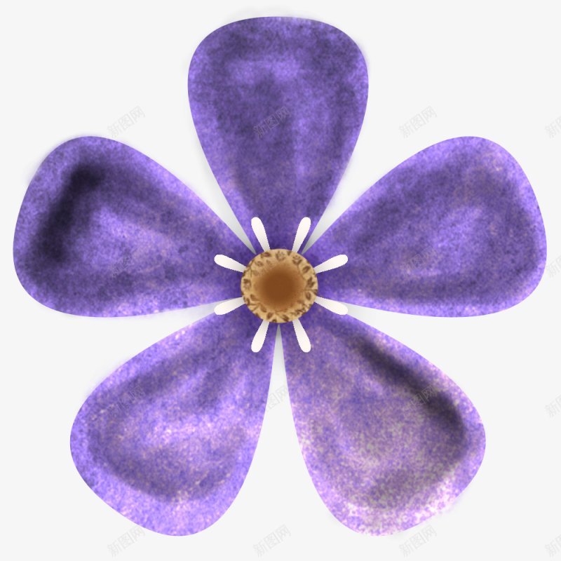 手绘紫色鲜花装饰图png免抠素材_新图网 https://ixintu.com 植物鲜花 一朵花 紫色花 开放 花香 自然的 孤立的 装饰 