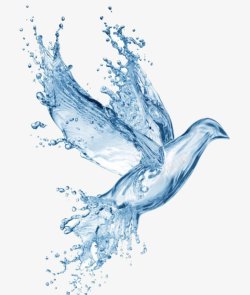 透明水滴水形状创意水形状鸟水9水牛奶气素材