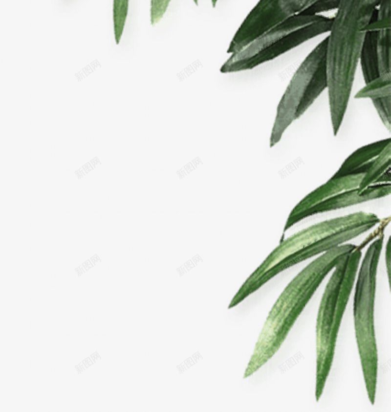 透明抠图绿色植物叶子草画板精细图标png_新图网 https://ixintu.com 免扣 抠图 标明分类名称 透明