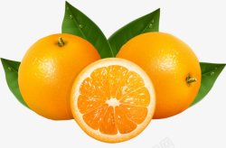 橙橙子花花草草素材