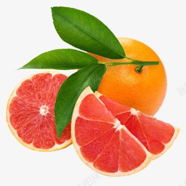 西橙水果食材蔬菜水果画板精细划分标明分图标图标