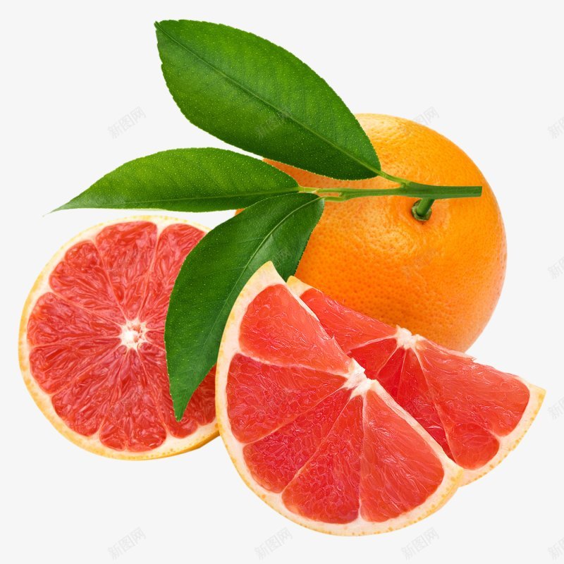 西橙水果食材蔬菜水果画板精细划分标明分图标png_新图网 https://ixintu.com 标明分类名称 水果两秒视觉 西橙