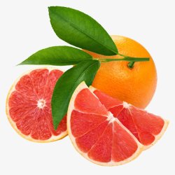 西橙西橙水果食材蔬菜水果画板精细划分标明分图标高清图片