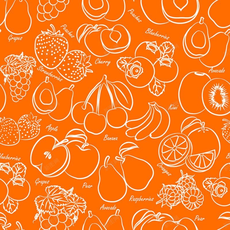 精美的手绘水果橙色矢量时尚jpg设计背景_新图网 https://ixintu.com 时尚