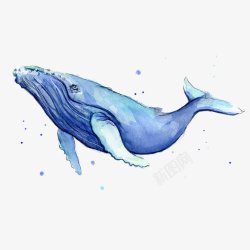 创意治愈系鲸鱼灬小狮子灬插画素锦底图素材