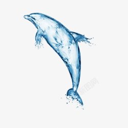 创意水花海豚PNS透明底素材