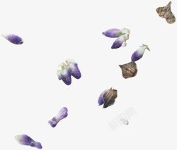 手绘洒落的紫色花包装饰图素材