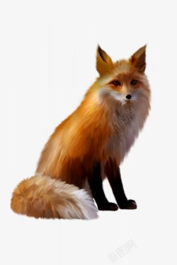 动物生物狐狸灬小狮子灬动物无透明合成动物素材