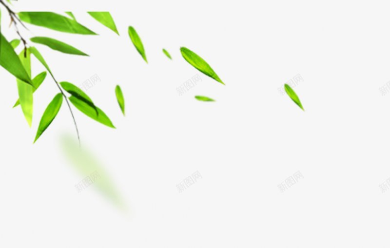 树叶叶子绿色植物png免抠素材_新图网 https://ixintu.com 免扣 叶子 树叶 绿色植物