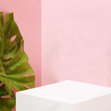 简约植物粉色服装主图简约绿色植物粉色白色台子服装e背景