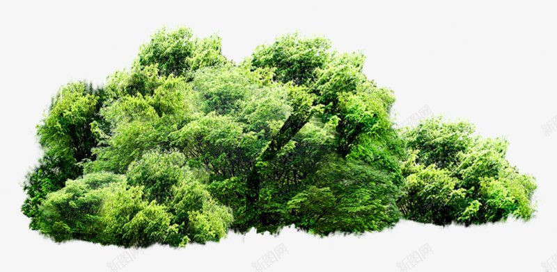 绿色环保树木1png免抠素材_新图网 https://ixintu.com 绿色环保树木图片
