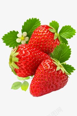 草莓食材蔬菜水果画板精细划分标明分图标图标